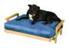 70x100 hundemadras