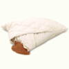 Millet pillow in cotton + quilted outer cover