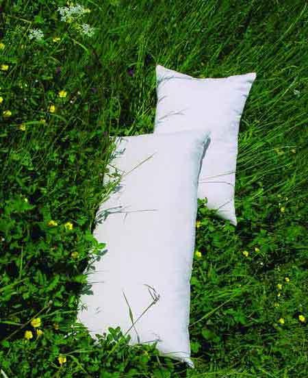 Organic pillows Sheep Wool 40x60