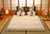 Naturmadras Hamp madras – Futon madras 300 i ren hamp plantefiber